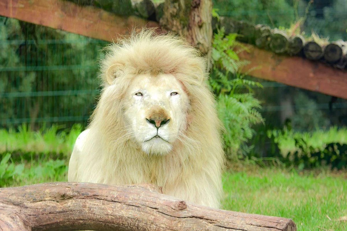 Le Zoo de Rabat - photo 3